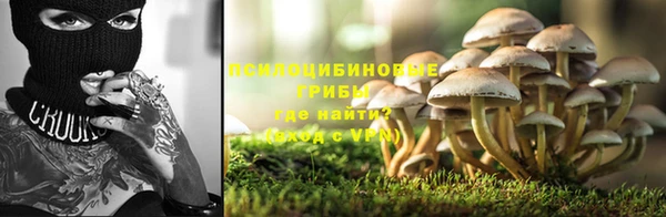 шишки Бугульма
