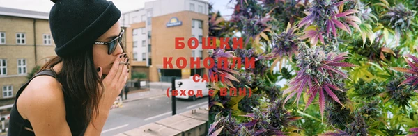 шишки Бугульма